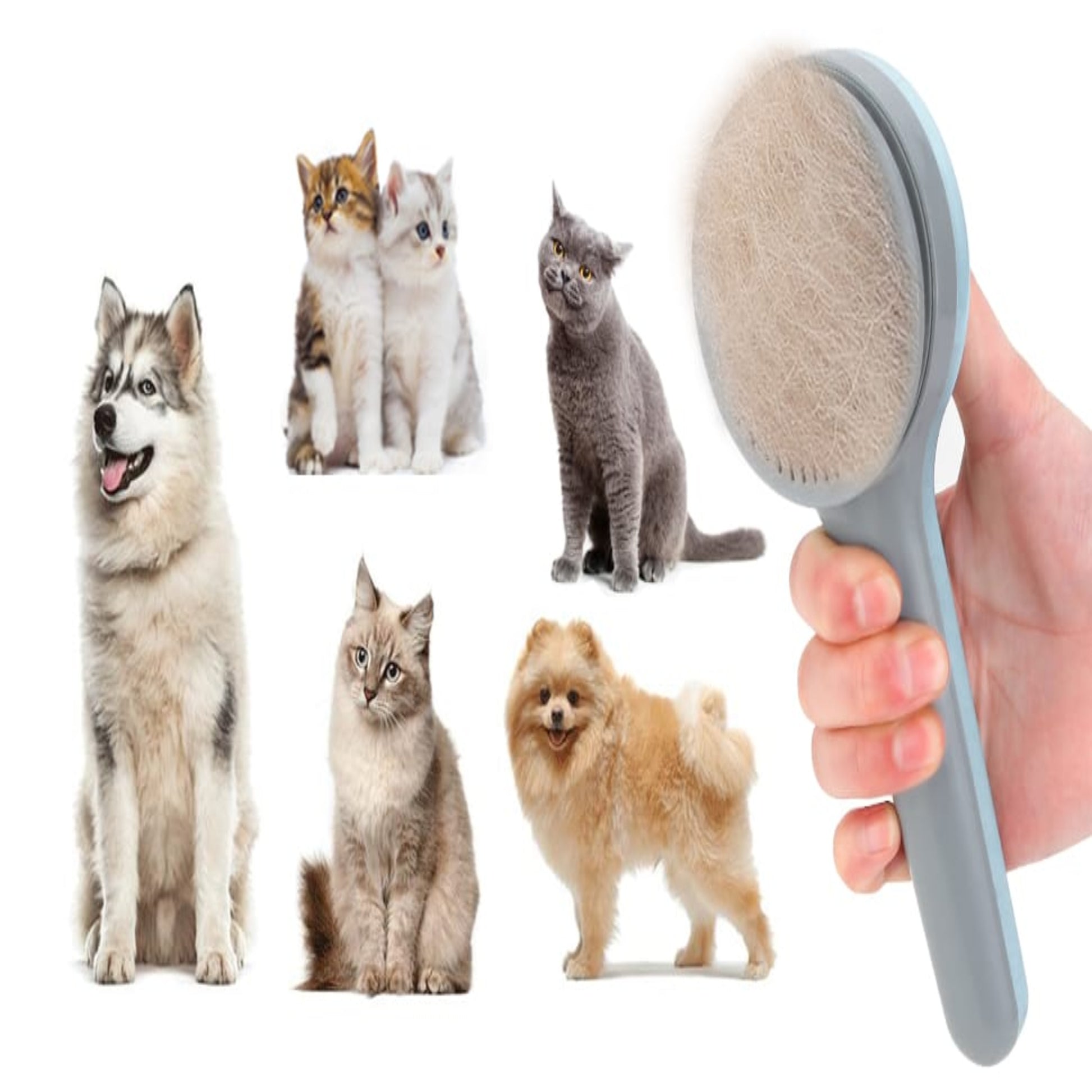 Pets Hair Remover Comb