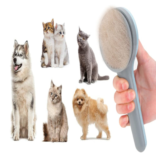 Pets Hair Remover Comb