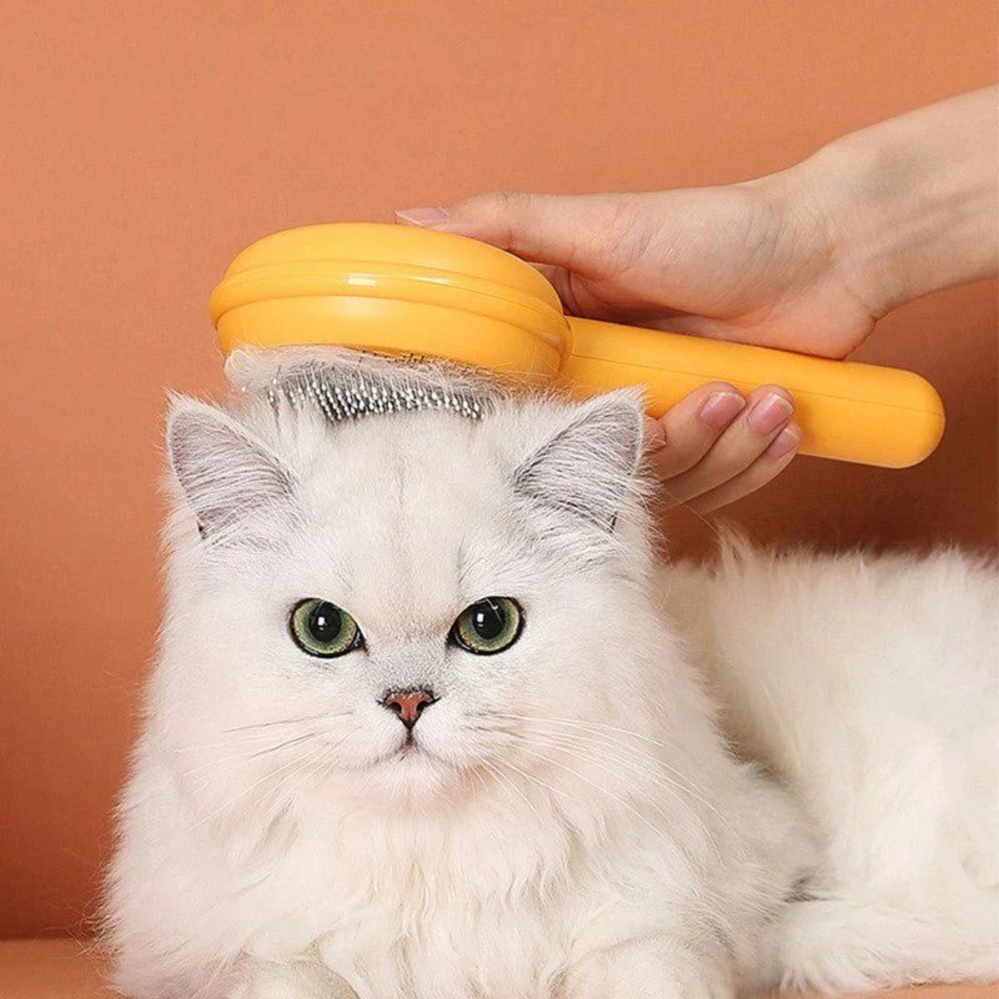 pet-hair-cleaning-comb